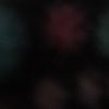 abbye_m
